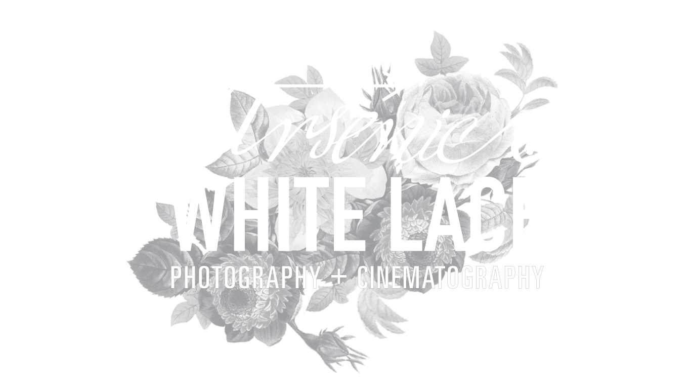 Arsenic and White Lace | Philadelphia Wedding Photography and Cinematography